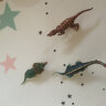 弥鹿（MiDeer）儿童软胶仿真恐龙玩具侏罗纪恐龙玩具恐龙世界-炫彩版8PCS儿童节礼物 晒单实拍图