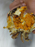 【活蟹】阳澄联合鲜活大闸蟹现货全母2.3-2.6两 12只生鲜螃蟹大只去绳足重海鲜礼盒 实拍图