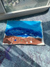 蒙玛特(Mont Marte)12色500ml水粉颜料升级套装 儿童可水洗手指画颜料广告画幼儿园美术 12S500ml-XZY23SJ 晒单实拍图