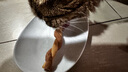 伊纳宝猫零食肉条宠物洁齿磨牙棒猫咪鸡肉海鲜双拼麻花零食猫条4条装 鲣鱼节味和蟹肉棒味4包 实拍图