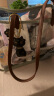 大英博物馆盖亚安德森猫系列透明TPU托特包单肩包送女生生日礼物 晒单实拍图