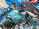 【官方正品】好好玩神奇的生命立体书第二辑（套装共4册）儿童科普启蒙读物玩具书幼儿百科3d立体绘本童书   实拍图
