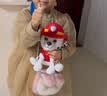 汪汪队立大功（PAW PATROL）狗狗巡逻队毛绒玩具男女孩可爱小狗玩偶公仔儿童节礼品生日礼物 汪汪队毛绒22.9cm-中号毛毛 cm 实拍图