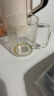 富光凡生系列玻璃杯 男女花茶杯子单层果汁杯牛奶杯带把 带刻度水杯 实拍图