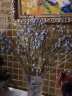 爱满尤加利叶 尤加利果 永生尤加利叶ins风干花花束花环搭配花材真花 尤加利果一扎5支（果很多·） 实拍图