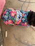 小爪星球（HICLAW）狗狗衣服法斗巴哥犬斗牛犬雪纳瑞八哥幼犬秋冬冬天衣服冬款棉服 【冬款加厚】大花棉衣 XXL（胸围67cm，建议27-35斤内） 实拍图
