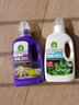 漫生活水培通用营养液500ml/瓶植物肥料碗莲富贵竹绿萝蔬菜绿植花卉 实拍图
