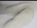 HYSMQ儿童纯羊毛鞋垫男女皮毛一体小孩专用冬季保暖加绒毛毛加厚鞋垫 真羊毛（两双装） 30码 （30-31码） 实拍图
