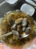潮龙8A醉泥螺260g 即食海鲜下饭下酒菜宁波特产上海风味黄泥螺 5A泥螺260g 实拍图