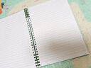舒星 B5活页笔记本本子60张高颜值可拆卸的高中生专用日记本初中生记事本线圈错题本活页夹学生 复古绿 实拍图