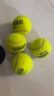 天龙（Teloon）网球比赛训练用球高弹耐磨整箱 TOUR pound 4粒装24听 晒单实拍图