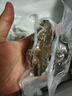 康悦堂大连底播即食海参正宗新鲜辽刺参海参礼盒独立包装海鲜水产 大连即食7A参500g【10-15只】 实拍图
