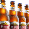 燕京啤酒 U8小度酒8度啤酒500ml*6瓶 开春踏青（礼盒装） 实拍图