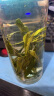 徽六绿茶寻味500太平猴魁250g 2024新茶特级雨前罐装茶叶礼盒手工捏尖 实拍图