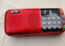 先科（SAST） V30收音机老年人V60便携式迷你播放器充电N28插卡广播随身听音乐听歌半导体戏曲唱戏机 V30中国红+16G内存卡 晒单实拍图