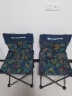 比尔傲威钓鱼椅折叠椅子美术生写生椅露营沙滩椅火车板凳便携马扎小凳子 【豪华升级款】超大号（树叶蓝） 实拍图