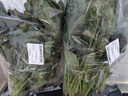 大菠菜300g 实拍图