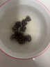 北京同仁堂猫爪草中草药材新鲜猫瓜草 三散草 猫抓草500克水洗新货猫爪草 250g 实拍图