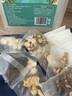 修年堂八珍袋泡茶150g八珍汤料包搭气血八珍汤料中药材女士滋补养生茶 实拍图