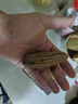 彩荷千眼菩提子原籽斤个超大手把件饰品父亲节 精选9cm以上一颗 实拍图