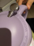 爱仕达（ASD）保温壶家用塑玻热水保温瓶大容量暖水壶1.5L复古紫RWB15P8WG-V 实拍图