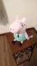 小猪佩奇玩偶毛绒玩具女孩陪睡布娃娃儿童安抚公仔佩奇玩偶生日礼物 1#30cm猪爸 实拍图