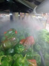 湿美（MSSHIMEI） 工业超声波加湿器雾化消毒超市火锅水果蔬菜加湿机车间仓库实验室养殖空气增湿器 SM-12B双管 晒单实拍图