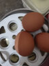 滇味十足 鸡蛋 新鲜农家林间散养土鸡蛋 月子蛋满月礼喜蛋农村笨鸡蛋 4枚装 实拍图