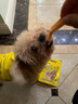 约翰农场狗狗零食大礼包宠物训犬鸡胸肉干泰迪博美金毛幼犬磨牙肉干 鸡肉棒100g【多人选择】 实拍图