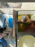 松宝（sobo）鱼缸增氧泵氧气泵养鱼充氧泵小型家用制氧机水族箱增氧机 8W四孔 实拍图