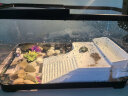阔庭乌龟缸生态缸宠物饲养箱透明爬宠专用黑色款 实拍图