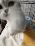 憨憨宠 猫笼 折叠猫笼子带厕所猫别墅幼猫成猫猫舍猫窝双层猫咪笼子 黑色850双层 实拍图