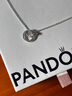 潘多拉（PANDORA）[新年礼物]亲情永恒吊坠项链颈饰925银三枚圆环送母亲银项链银饰 实拍图