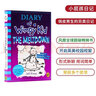 英文原版 小屁孩日记13 Diary of a Wimpy Kid 13: The Meltdown 英文分级阅读章节书桥梁书  9-12岁  课外阅读 实拍图