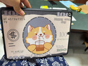 zoyu iPad保护套带笔槽10.2英寸2021款第9代适用苹果2020平板电脑第8代7三折保护壳 美元胖柴【送钢化膜】 iPad10.2英寸 实拍图