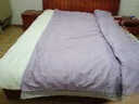 富安娜家纺 抑菌大豆纤维被 60S长绒棉面料 四季被 冬被 重约3.4-7.6斤 抑菌大豆加厚被-60S长绒棉提花 230*229cm 实拍图