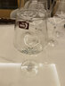 青苹果 大号勃艮第红酒杯套装家用奢华水晶玻璃醒酒器高脚杯高档酒具 水晶把手+竹底架+勃艮第x6/ 450ml 实拍图