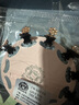 Royal sasa皇家莎莎时尚水钻小抓夹12件套装花朵发饰迷你刘海发抓发夹刘海夹 香槟色CP 实拍图