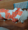 华元宠具（hoopet）狗狗衣服冬天保暖四脚羽绒服宠物小型犬比熊柯基棉服泰迪冬季衣服 【加厚加绒】四脚棉服 橘 2XL：背长41cm【建议12-15斤】 实拍图