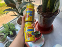 小熊糖（L'ilCritters）丽贵儿童复合维生素软糖70粒 d3维C锌0防腐营养包 婴儿2岁以上 实拍图