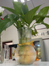 极度空间 玻璃花瓶插花瓶水培植物生态瓶透明桌面客厅办公桌家居装饰摆件 实拍图