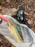 达亿瓦（DAIWA） 一击GL路亚竿 泛用微物虫竿雷强竿全环境通用进口鱼竿远投竿碳素 75MB（2.26米中调枪柄） 实拍图