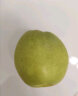京鲜生 新疆库尔勒香梨 2.5kg 一级 单果100g-120g  生鲜水果 实拍图