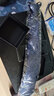猎尚 男士商务正装8cm宽懒人一拉的结婚新郎领带 免打拉链领带礼盒装 8厘米热唛蓝拉链款 实拍图