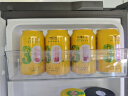 轩博 3.0 小麦白啤 精酿啤酒 330ml*24听 整箱装 麦芽醇香 便携装 实拍图