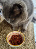 心然猫饼干夹心猫咪零食磨牙棒成幼猫零食饼干洁齿零食 亮毛美毛50g/包 实拍图