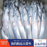 棠鲜生带鱼 精品海钓带鱼 新鲜特大整条带鱼礼盒整箱 海鲜礼 10斤礼盒（1.5-2斤/条） 实拍图