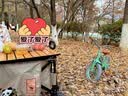 萌大圣F800 儿童自行车中大童学生3-6-8-10岁公主辅助轮超轻便 牛油果绿【升级三代】 14寸 实拍图