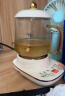 乐炖  养生壶迷你煮茶器养生杯电炖杯多功能煮花茶壶烧水壶办公室一人用小型电热杯全玻璃 【智能保温】0.6L养生杯 加厚材质带三年以换代修 实拍图
