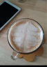 SEVERIN施威朗德国132年品牌意式半自动咖啡机家用咖啡机手动咖啡机 拉花咖啡机意式咖啡研磨机打奶泡拉花 KA5994 实拍图